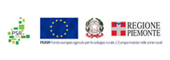 Progetto circOlare