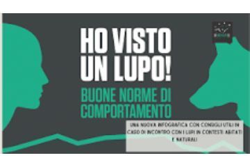 Norme di comportamento nei confronti dei lupi - progetto Life WolfAlps EU - Avvelenamento e Unit&#224; Cinofile Antiveleno