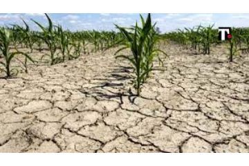 Misure in materia di energia, emergenza idrica, politiche sociali e industriali – Ridefinizione termine trasmissione segnalazioni danni