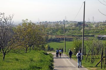 41&#170; edizione della Camminata enogastronomica tra i ciliegi in fiore - Domenica 7 aprile 2024
