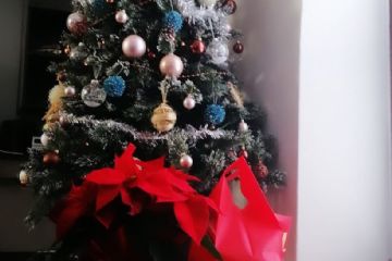 Concorso "Fotografa il Natale 2020" promosso dall'Associazione TuttiInsieme aps e la collaborazione dell'Ascom