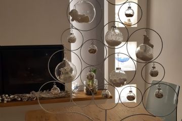 Concorso "Fotografa il Natale 2020" promosso dall'Associazione TuttiInsieme aps e la collaborazione dell'Ascom