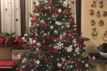 Concorso "Fotografa il Natale 2020" promosso dall'Associazione TuttiInsieme aps e la collaborazione dell'Ascom