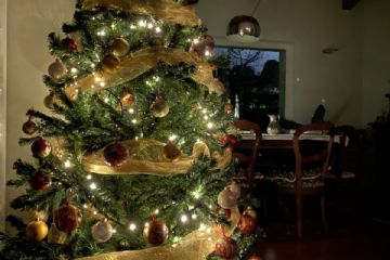 Concorso "Fotografa il Natale 2020" promosso dall'Associazione TuttiInsieme aps e la collaborazione dell'Ascom
