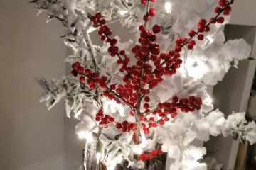 Concorso "Fotografa il Natale 2020" promosso dall'Associazione TuttiInsieme aps e la collaborazione dell'Ascom