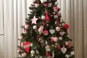 Concorso "Fotografa il Natale 2020" promosso dall'Associazione TuttiInsieme aps e la collaborazione dell'Ascom