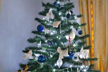 Concorso "Fotografa il Natale 2020" promosso dall'Associazione TuttiInsieme aps e la collaborazione dell'Ascom