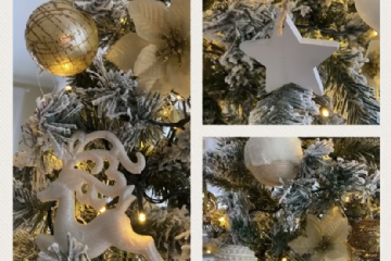 Concorso "Fotografa il Natale 2020" promosso dall'Associazione TuttiInsieme aps e la collaborazione dell'Ascom