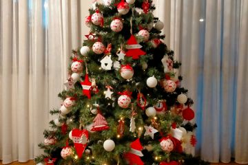 Concorso "Fotografa il Natale 2021" promosso dall'Amministrazione Comunale in collaborazione dell'ASCOM