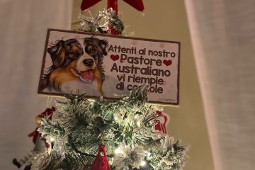 Concorso "Fotografa il Natale 2021" promosso dall'Amministrazione Comunale in collaborazione dell'ASCOM