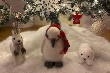 Concorso "Fotografa il Natale 2021" promosso dall'Amministrazione Comunale in collaborazione dell'ASCOM