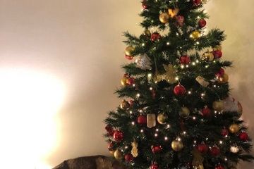 Concorso "Fotografa il Natale 2021" promosso dall'Amministrazione Comunale in collaborazione dell'ASCOM