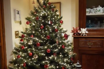 Concorso "Fotografa il Natale 2021" promosso dall'Amministrazione Comunale in collaborazione dell'ASCOM