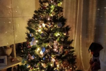 Concorso "Fotografa il Natale 2021" promosso dall'Amministrazione Comunale in collaborazione dell'ASCOM