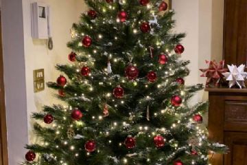 Concorso "Fotografa il Natale 2020" promosso dall'Associazione TuttiInsieme aps e la collaborazione dell'Ascom